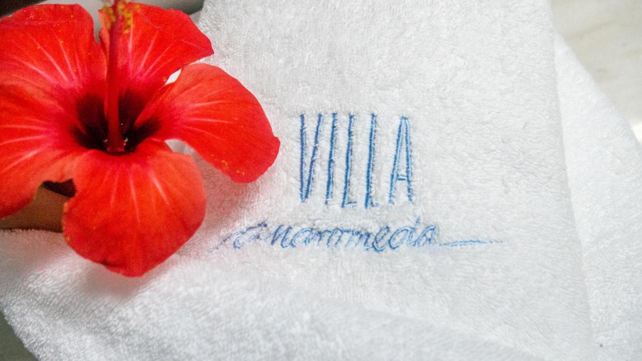Villa Andromeda Chania  Екстер'єр фото